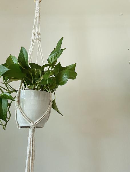 Long White Plant Hanger - Hanging Plant Holder - Air plant Hanger - Macrame Lanyard - Macrame Pant Holder - Macrame Tassels picture