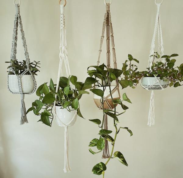 Short White + Gray Long White + Brown - Hanging Plant Holder - Air plant Hanger - Macrame Lanyard - Macrame Pant Holder - Macrame Tassels picture