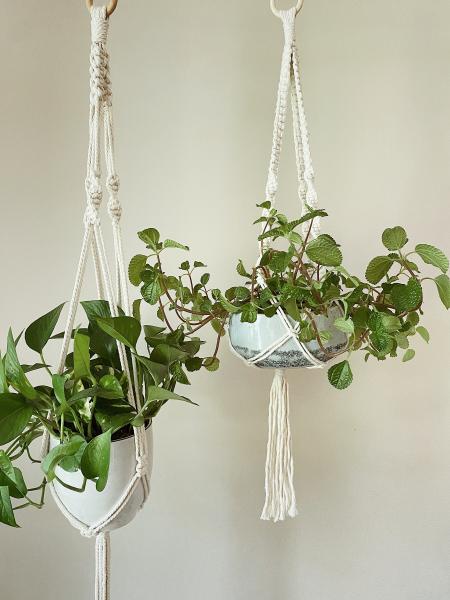 Short White + Long White - Hanging Plant Holder - Air plant Hanger - Macrame Lanyard - Macrame Pant Holder - Macrame Tassels picture