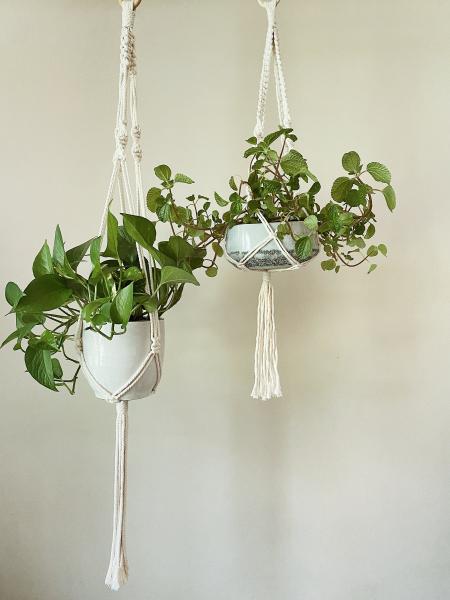 Short White + Long White - Hanging Plant Holder - Air plant Hanger - Macrame Lanyard - Macrame Pant Holder - Macrame Tassels picture