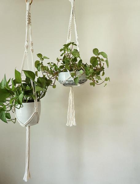 Short White + Long White - Hanging Plant Holder - Air plant Hanger - Macrame Lanyard - Macrame Pant Holder - Macrame Tassels picture