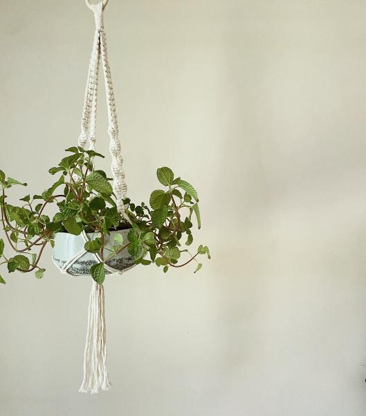 Short White + Gray Hangers - Hanging Plant Holder - Air plant Hanger - Macrame Lanyard - Macrame Pant Holder - Macrame Tassels picture