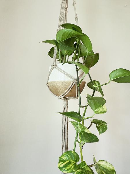 Long Brown Plant Hanger - Hanging Plant Holder - Air plant Hanger - Macrame Lanyard - Macrame Pant Holder - Macrame Tassels picture