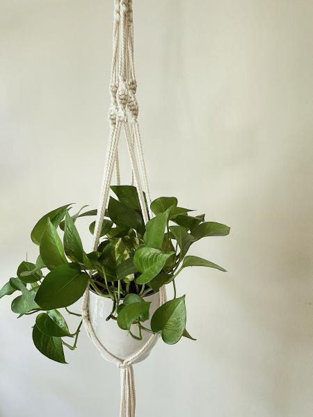 Long White Plant Hanger - Hanging Plant Holder - Air plant Hanger - Macrame Lanyard - Macrame Pant Holder - Macrame Tassels picture