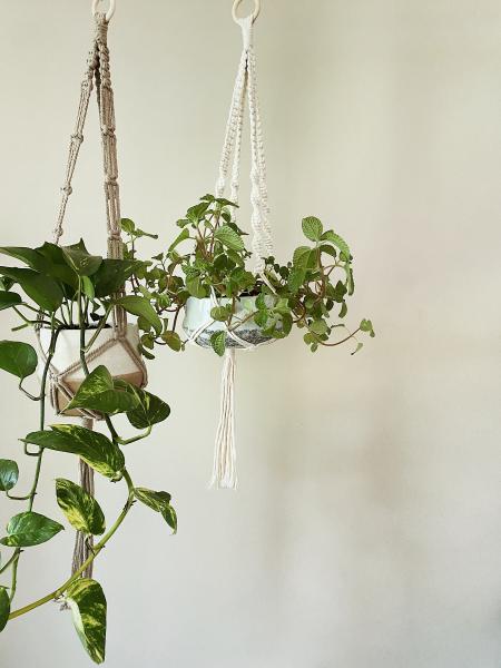 Long Brown + Short White Hangers - Hanging Plant Holder - Air plant Hanger - Macrame Lanyard - Macrame Pant Holder - Macrame Tassels picture