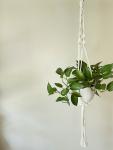 Long White Plant Hanger - Hanging Plant Holder - Air plant Hanger - Macrame Lanyard - Macrame Pant Holder - Macrame Tassels