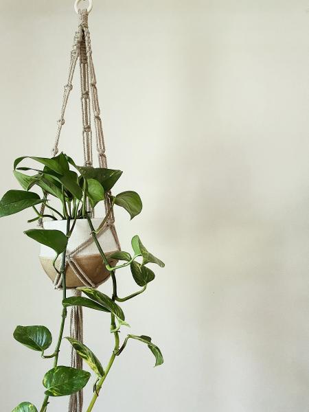 Long Brown Plant Hanger - Hanging Plant Holder - Air plant Hanger - Macrame Lanyard - Macrame Pant Holder - Macrame Tassels picture