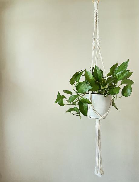 Long White Plant Hanger - Hanging Plant Holder - Air plant Hanger - Macrame Lanyard - Macrame Pant Holder - Macrame Tassels picture