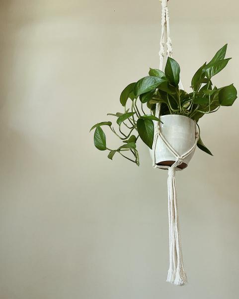 Long White Plant Hanger - Hanging Plant Holder - Air plant Hanger - Macrame Lanyard - Macrame Pant Holder - Macrame Tassels picture