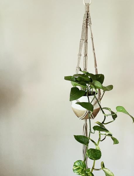 Long Brown Plant Hanger - Hanging Plant Holder - Air plant Hanger - Macrame Lanyard - Macrame Pant Holder - Macrame Tassels picture