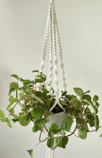 Long Brown + Short White Hangers - Hanging Plant Holder - Air plant Hanger - Macrame Lanyard - Macrame Pant Holder - Macrame Tassels picture