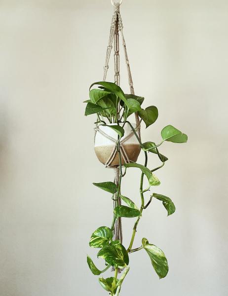 Long Brown + Short White Hangers - Hanging Plant Holder - Air plant Hanger - Macrame Lanyard - Macrame Pant Holder - Macrame Tassels picture