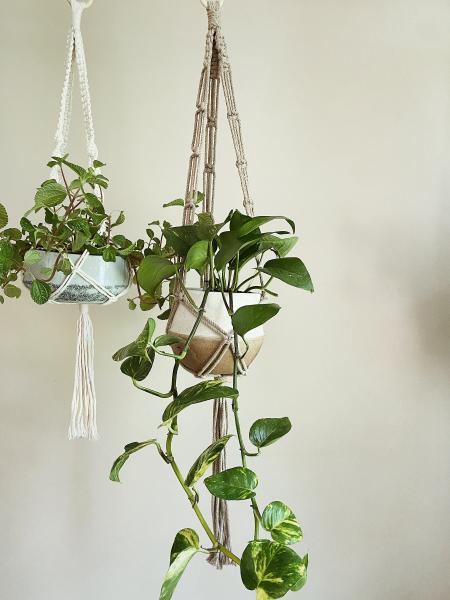 Long Brown + Short White Hangers - Hanging Plant Holder - Air plant Hanger - Macrame Lanyard - Macrame Pant Holder - Macrame Tassels picture