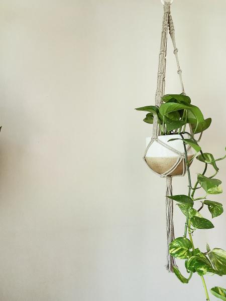 Short White + Gray Long White + Brown - Hanging Plant Holder - Air plant Hanger - Macrame Lanyard - Macrame Pant Holder - Macrame Tassels picture