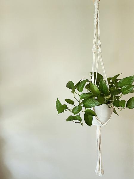 Long White Plant Hanger - Hanging Plant Holder - Air plant Hanger - Macrame Lanyard - Macrame Pant Holder - Macrame Tassels picture