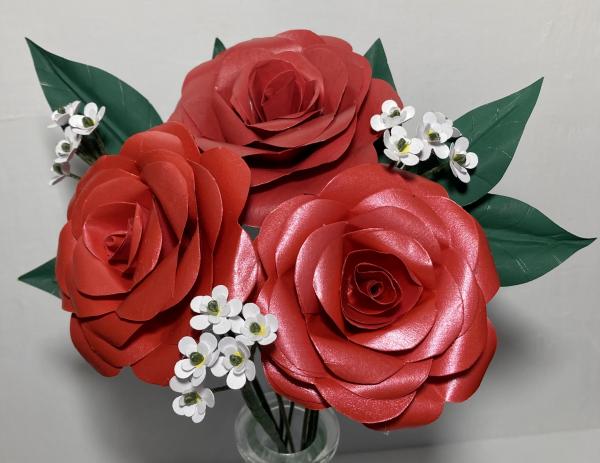 Paper Roses picture