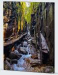 Flume Gorge New Hampshire Canvas Print