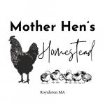 Mother Hen’s Homestead