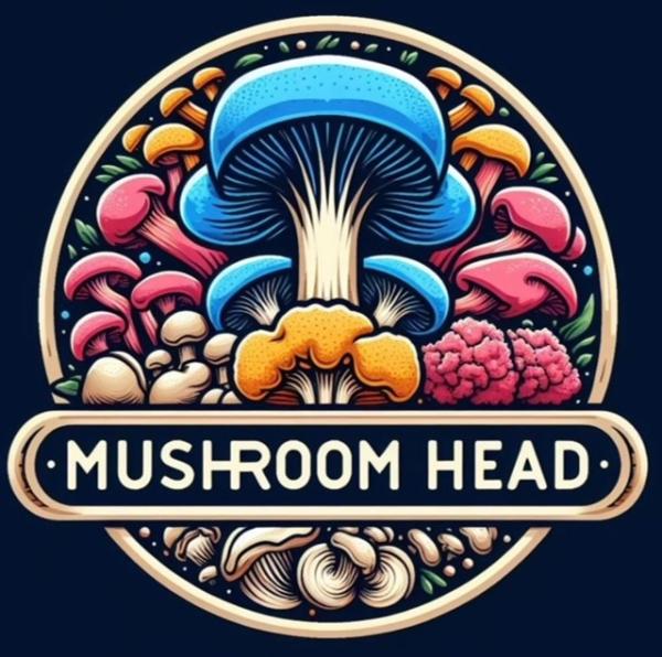 Mushroom Head LLC