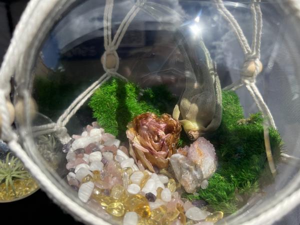 Amoretta Fairy Garden