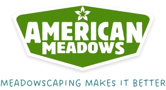 American Meadows