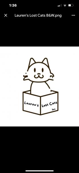Lauren’s Lost Cats