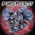 The Fungi Florist