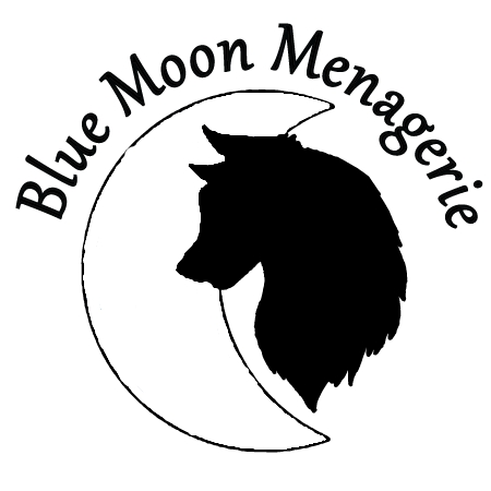 Adoptable Fantasy Creatures by Blue Moon Menagerie