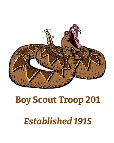 Boy Scouts Troop 201