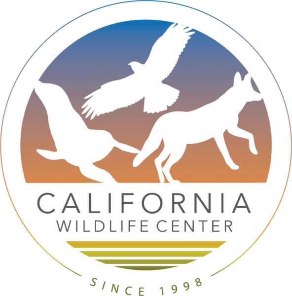 California Wildlife Center