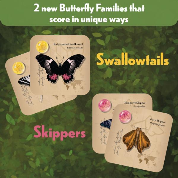 Jewel Box Fluttering Expedition - Expansion picture