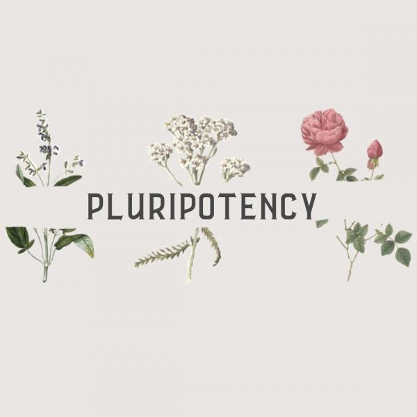 Pluripotency