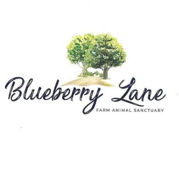 Blueberry Lane Farm Animal Sanctuary