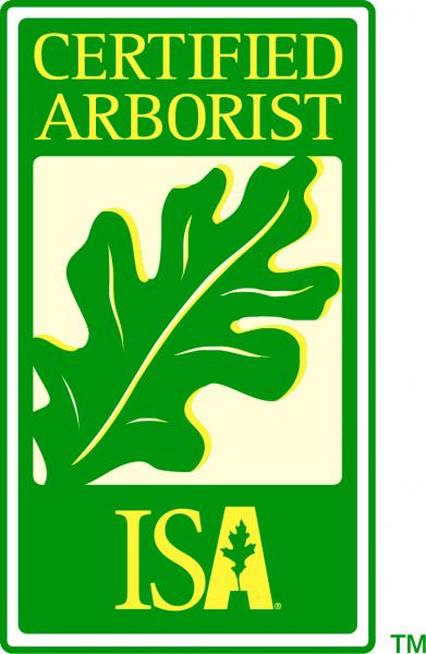 Arborist tree service