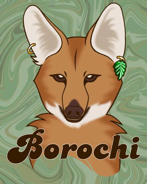 Borochi