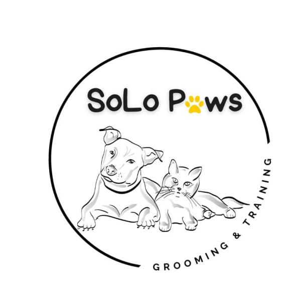 Solo Paws Grooming and Training