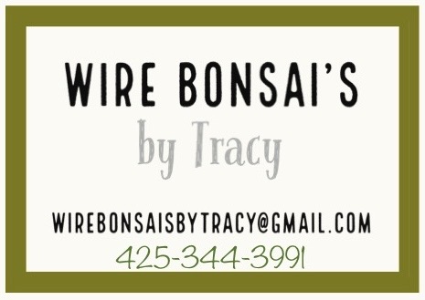 Wire Bonsai’s By Tracy