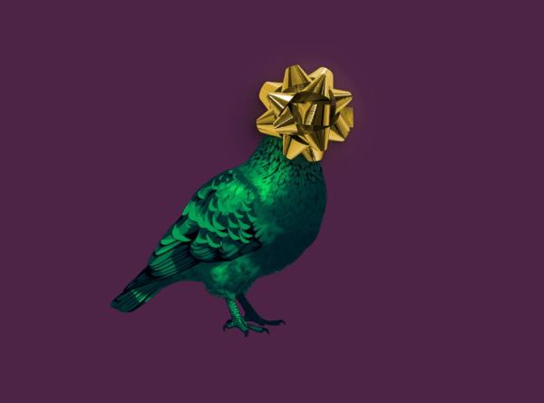 Emerald Pigeon