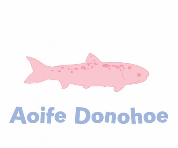 Aoife Donohoe Art