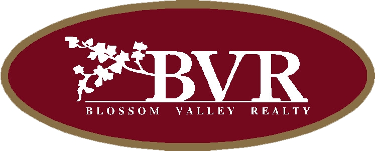 Blossom Valley Realty And Financial