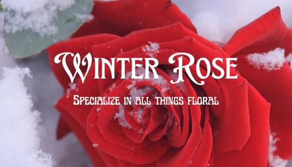 Winter Rose