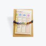 Gemstone and Lava Bead Chakra Macrame Bracelet