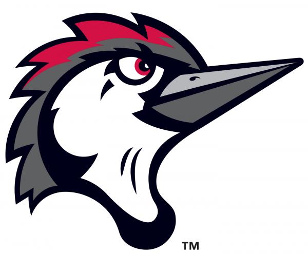 Fayetteville Woodpeckers