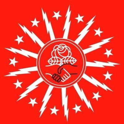 Buffalo DSA