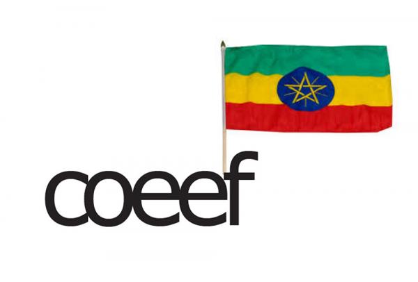 Children of Ethiopia Education Fund (COEEF)