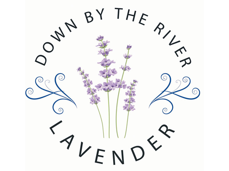 Down by the river lavender