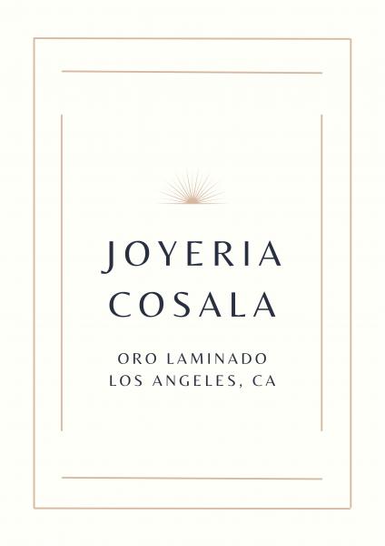 Joyeria Cosala