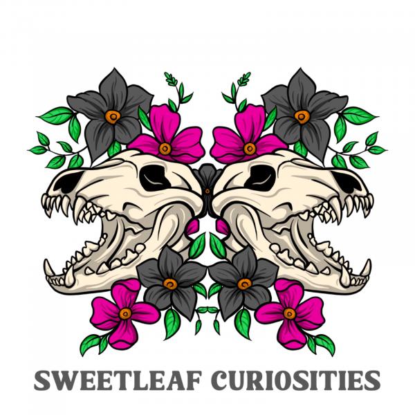 Sweetleaf curiosities