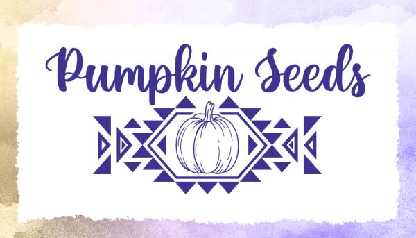 Pumpkin Seeds LLC