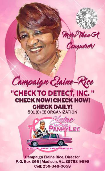 Campaign Elaine Rice-"Check to Detect", Inc.